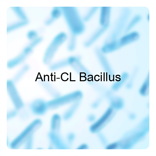 Anti-CL Bacillus