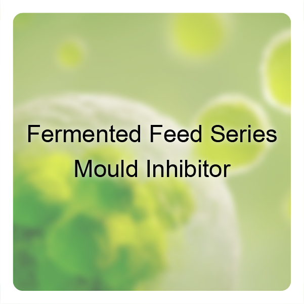Fermented Feed Series Mould Inhibitor